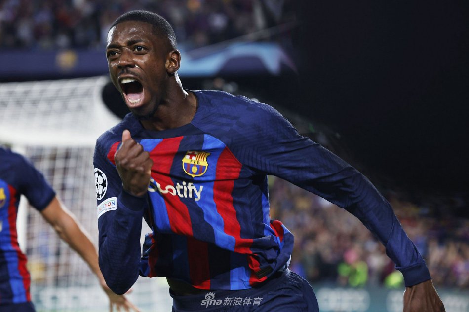 却令人叹为 却令人叹为